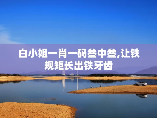白小姐一肖一码叁中叁,让铁规矩长出铁牙齿