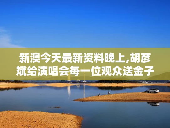 新澳今天最新资料晚上,胡彦斌给演唱会每一位观众送金子