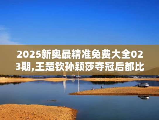 2025新奥最精准免费大全023期,王楚钦孙颖莎夺冠后都比了3