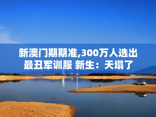 新澳门期期准,300万人选出最丑军训服 新生：天塌了