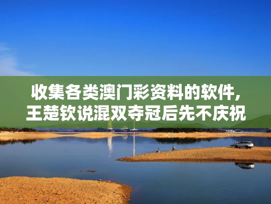 收集各类澳门彩资料的软件,王楚钦说混双夺冠后先不庆祝