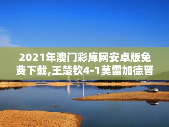 2021年澳门彩库网安卓版免费下载,王楚钦4-1莫雷加德晋级决赛