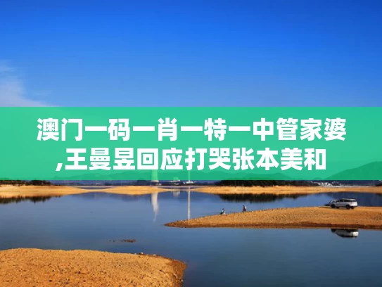 澳门一码一肖一特一中管家婆,王曼昱回应打哭张本美和