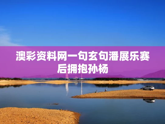 澳彩资料网一句玄句	潘展乐赛后拥抱孙杨