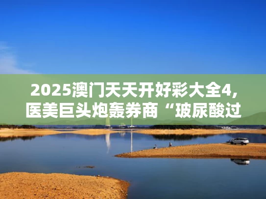 2025澳门天天开好彩大全4,医美巨头炮轰券商“玻尿酸过时”论
