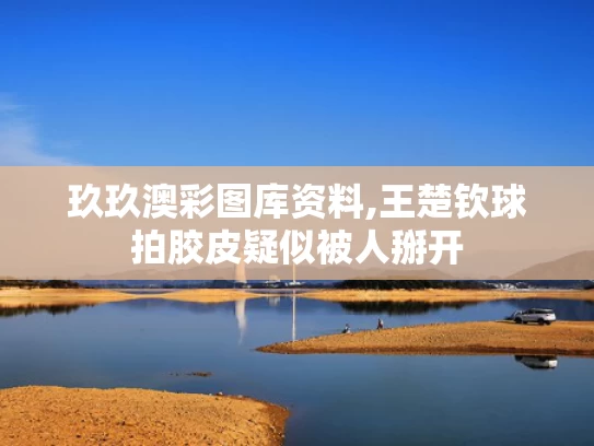 玖玖澳彩图库资料,王楚钦球拍胶皮疑似被人掰开