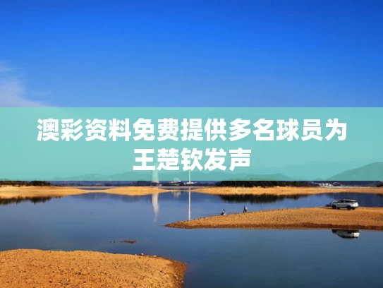 澳彩资料免费提供	多名球员为王楚钦发声