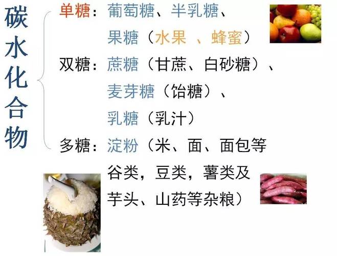 50斤米能顶5升血浆;50斤米有多少升