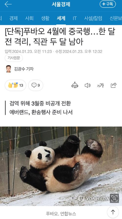 2025新澳门精准正版图库和4旅日大熊猫将回国与旅日20年熊猫将回国 视频