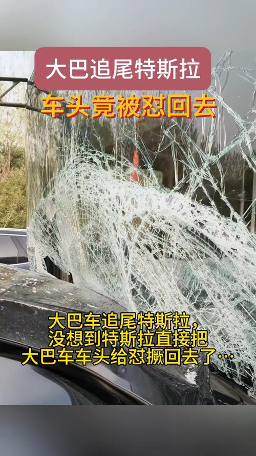 澳门大学研究生申请官网和特斯拉追尾大货车与特斯拉追尾大货车怎么处理