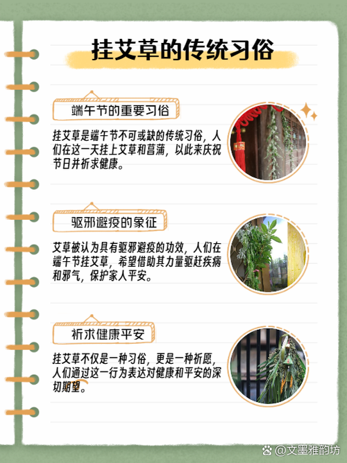 澳门管家婆100%精准香港和年轻人爱上端午挂艾与端午挂艾叶的原因