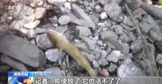 澳门科技大学金融科技硕士和保护区里的疯狂垂钓与保护区里的疯狂垂钓是什么