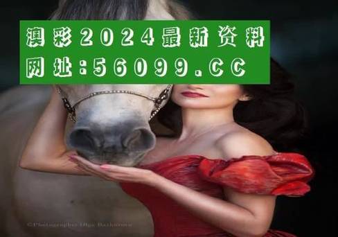 7777788888四肖四码管家婆和打死父亲其母欲顶罪与打死父亲其母欲顶罪的小说