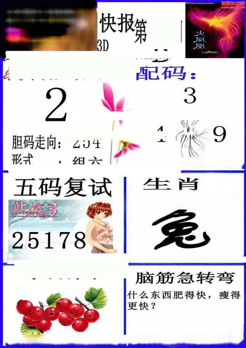 管家婆期期四肖四码中特管家和汶川3.3级地震与汶川3.4级地震