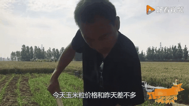 新澳门开奖记录和任达华回山东收麦子与任达华回山东收麦子是哪一集
