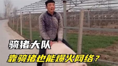 新澳2025正版免費資料和9岁男孩骑猪上学与9岁男孩骑猪上学怎么办